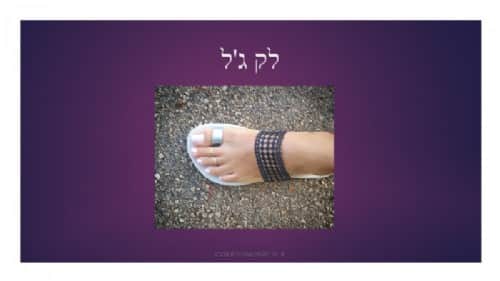 עקרונות לק ג'ל