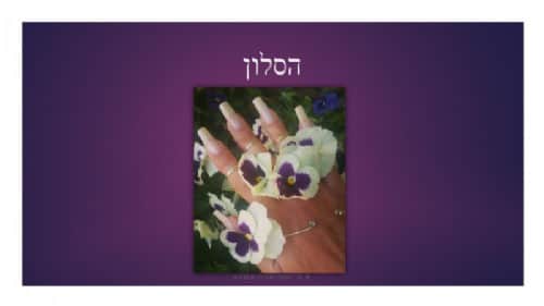 סביבת העבודה למקצועית