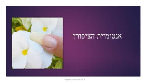 עולם הציפורן למקצועית