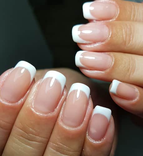 מקצועיות ובריאות