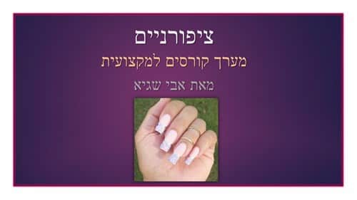 מערך קורסים למקצועית